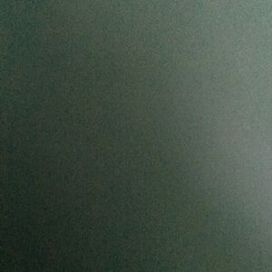 Meet your Posher, Tamia